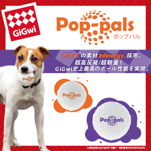 ポップパル