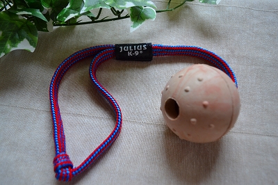 ヨーロッパの人気ブランド　ユリウスＫ－９ひも付きボール