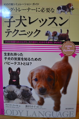 ドッグトレーナーに必要な子犬レッスンテクニック