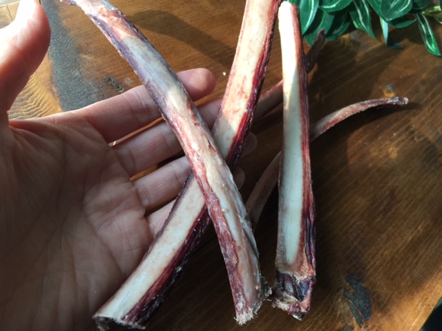 ドッグステーブル　リブボーン