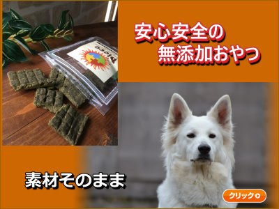 バナー