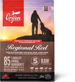 オリジンレジオナル2ｋ