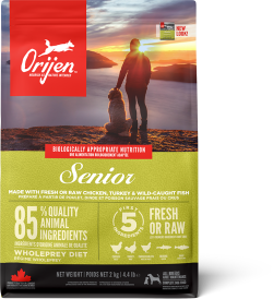 オリジンシニア2ｋ