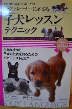 ドッグトレーナーに必要な子犬レッスンテクニック