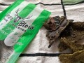 ディアブロ　トライプマリネ　ホルモンミックス
