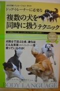 ドッグトレーナーに必要な複数の犬を同時に扱うテクニック