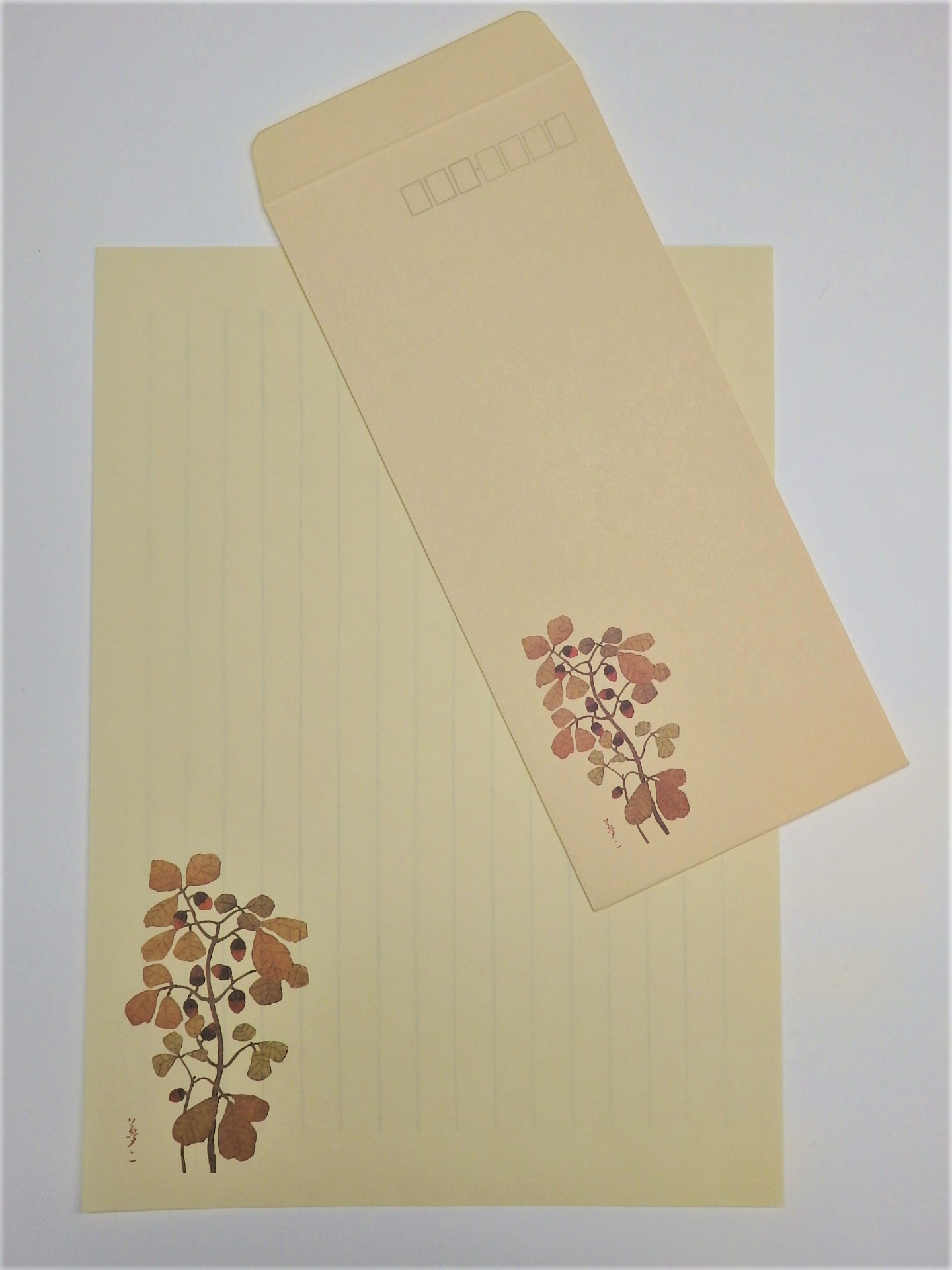 レターセット「樫の実」