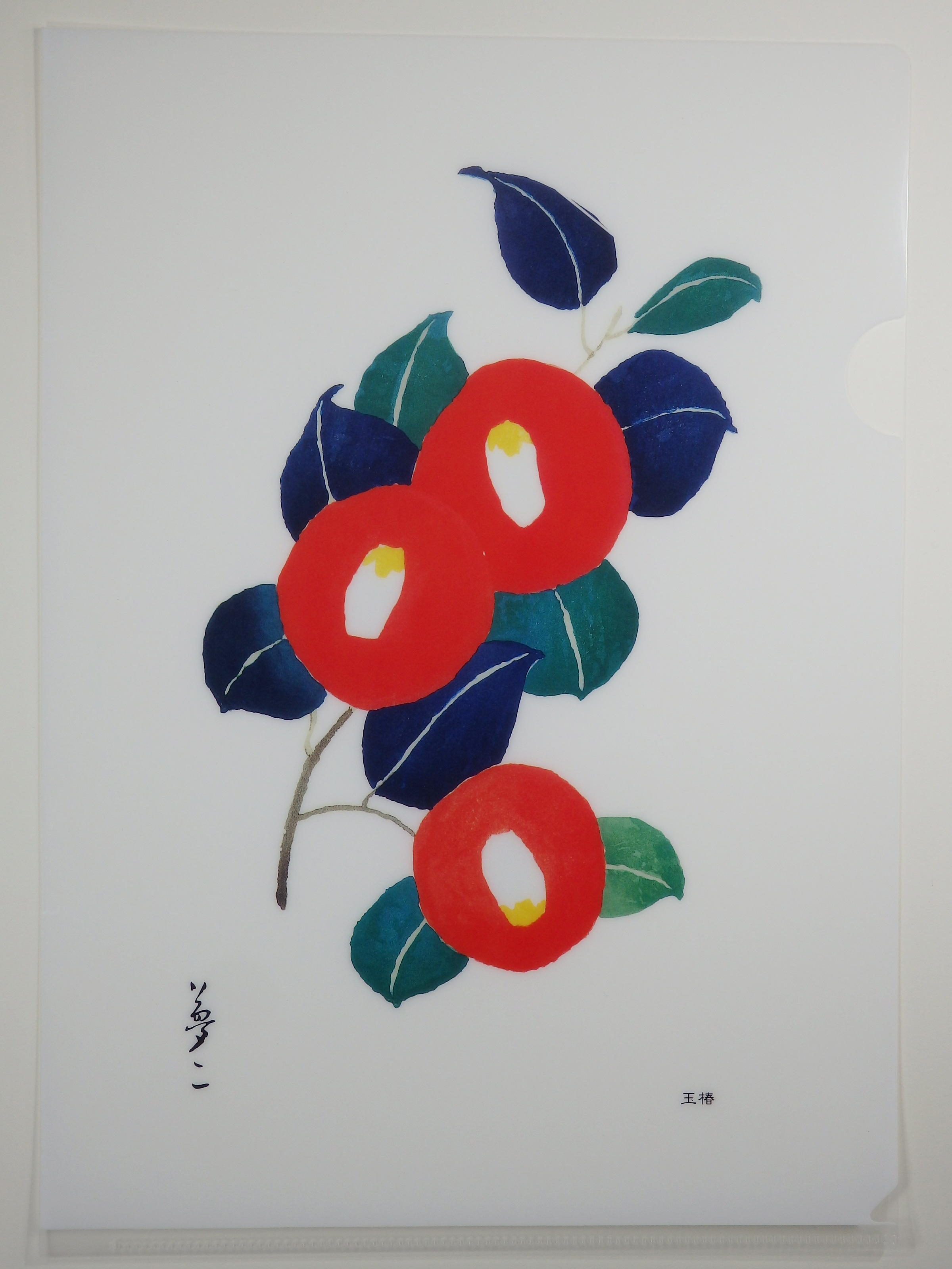 A4クリアファイル 玉椿