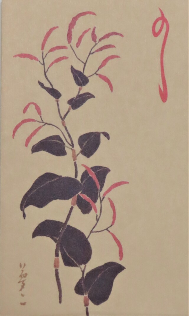 ぽち袋「あかまんま」