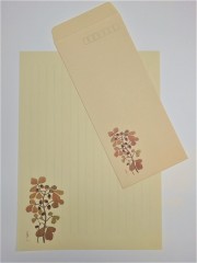 レターセット「樫の実」