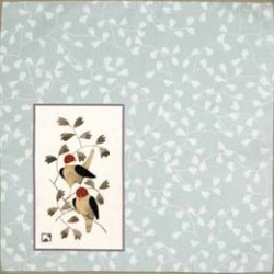 スーパークリン／眼鏡拭き（小鳥）