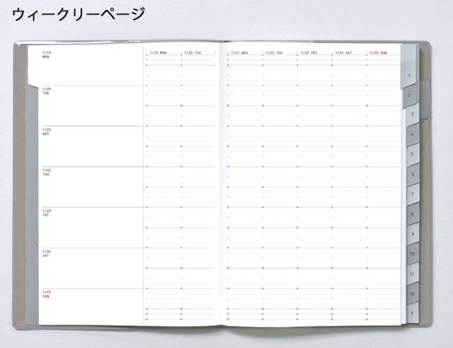 ワイズリー 2026