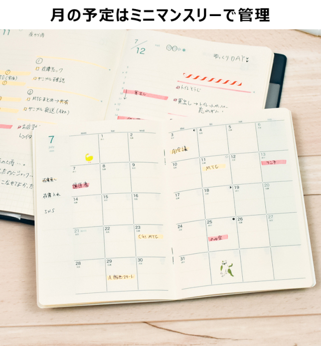 higolog 7月