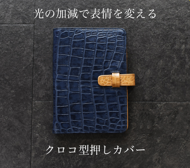 クロコテコイレ