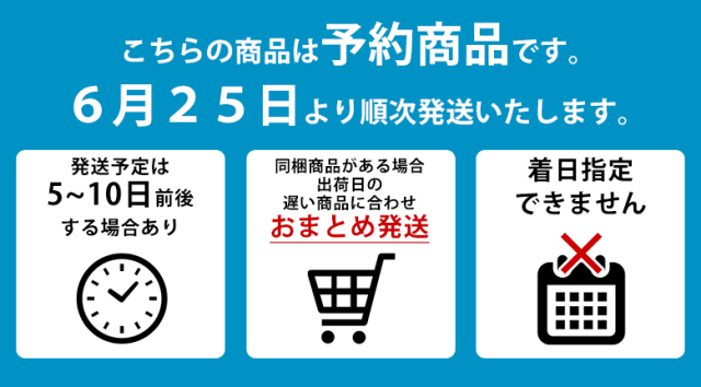 夏休みの時間管理と親子のコミュニケーションを 夏休み限定商品