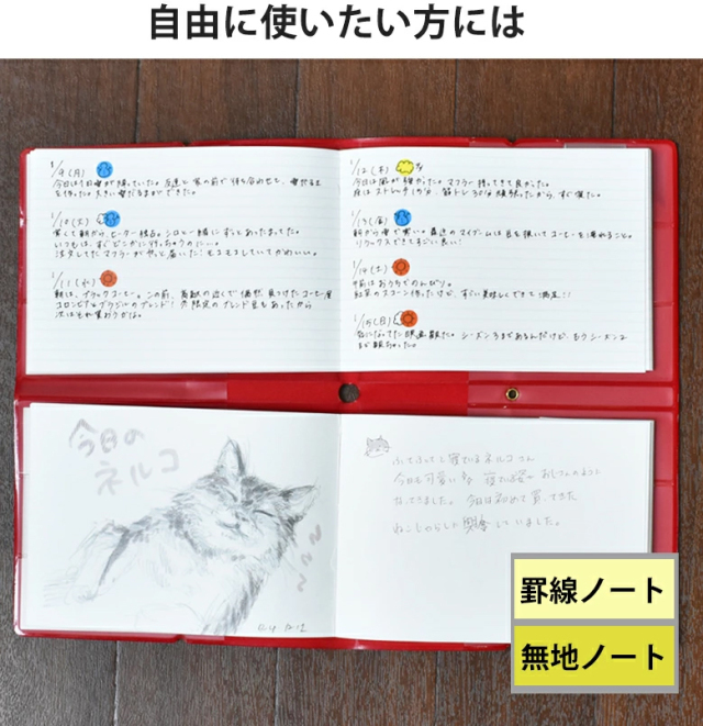 テテちゃんノート IMG_3385_1600x.jpg?v=1613351183