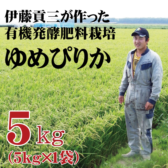 ☆3月も期間限定価格☆【令和7年産 】北海道美唄市産 伊藤さんのゆめぴりか 5kg　★数量限定