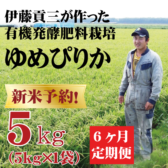 令和7年産新米】定期購入 伊藤さんのゆめぴりか 5kg 6か月 北海道美唄