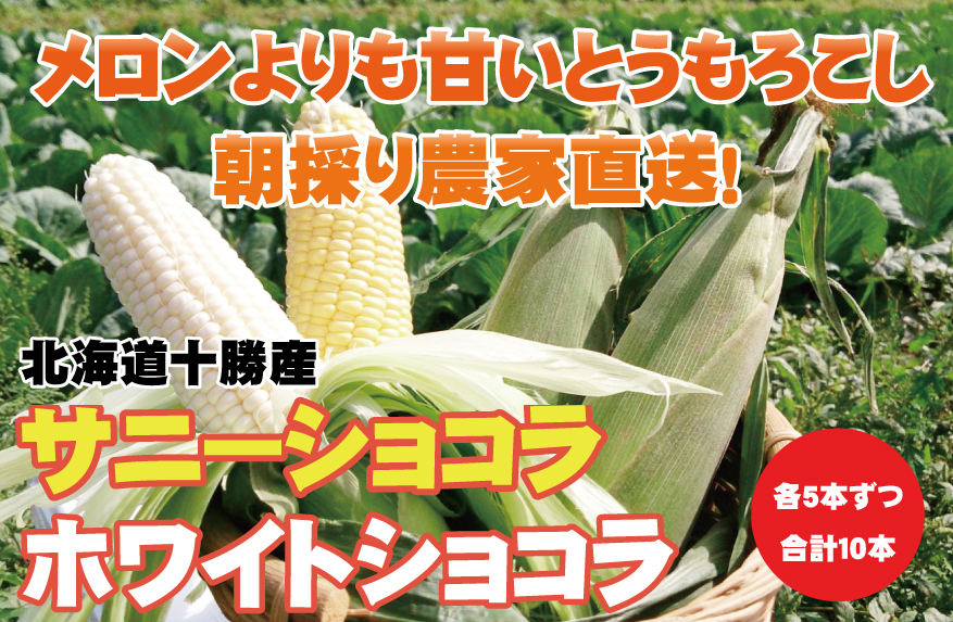 北海道 幕別産 朝採りとうもろこし