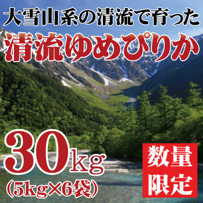 【令和5年産】北海道産 清流ゆめぴりか 30kg