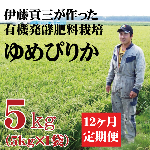 【令和7年産】定期購入 伊藤さんのゆめぴりか 5kg 12か月 北海道美唄市産