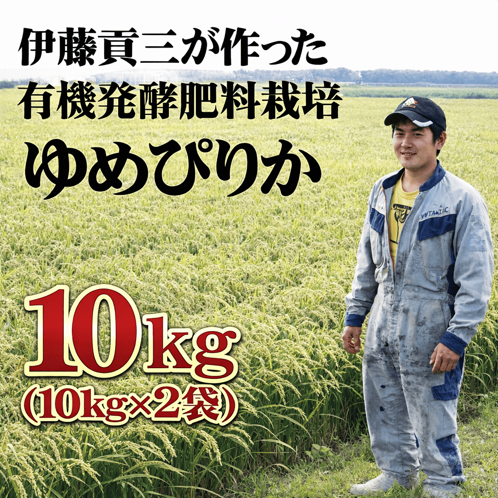 ◎3月も期間限定割引◎【令和7年産 】北海道美唄市産　伊藤さんのゆめぴりか 10kg  ★数量限定