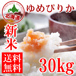 26年産 新米！北海道産 清流ゆめぴりか　30ｋｇ