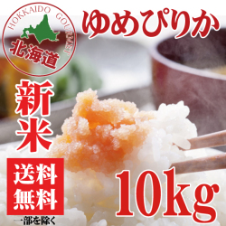 【S】26年産 新米 北海道産 清流ゆめぴりか 10kg