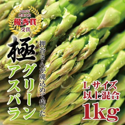 北海道 長沼産 押谷さんが心を込めて作った　極みアスパラ1kg