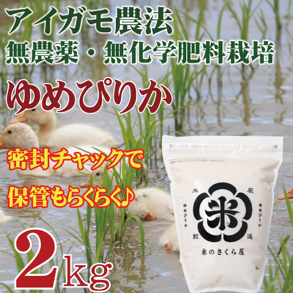 続とも二冊【値下げ終了へ】 北米百年桜 弱