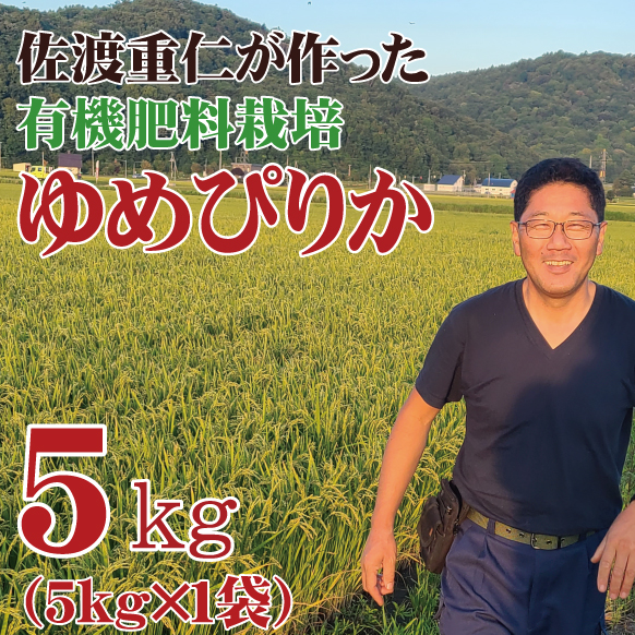 ☆数量限定☆【令和6年産】 単品 佐渡さんのゆめぴりか 5kg 北海道芦別市産