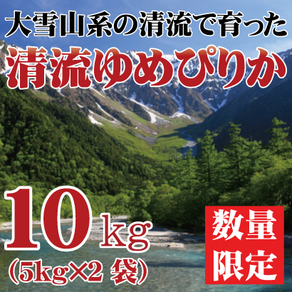 【令和6年産】北海道産 清流ゆめぴりか 10kg