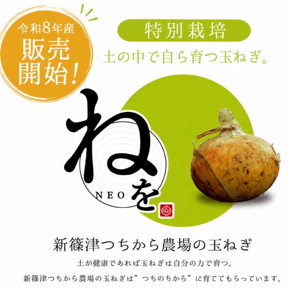北海道 新篠津産 特別栽培たまねぎ 『ねを』 5kg 同梱におすすめ!
