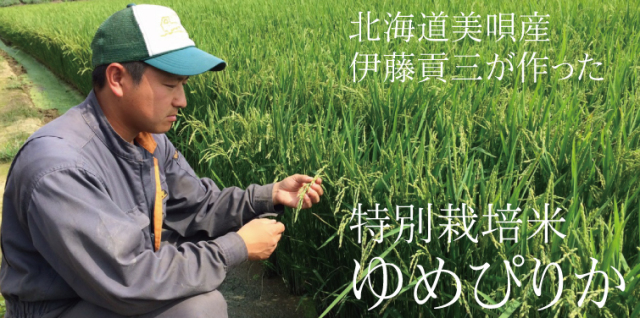 【新米】【令和7年産 】北海道美唄市産　伊藤さんのゆめぴりか 10kg  ★数量限定