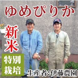 令和４年産 新米予約 伊藤さんのゆめぴりか
