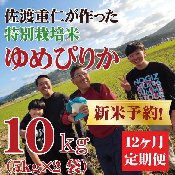 【新米予約】【令和7年産】定期購入 佐渡さんのゆめぴりか 10kg 12か月 北海道芦別市産
