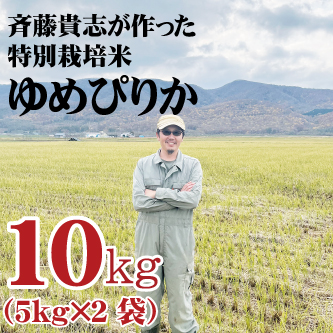 【令和7年産】単品新米 蘭越産 米・食味鑑定士認定米 斉藤さんのプレミアムゆめぴりか 10kg