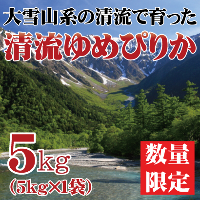 【令和5年産】北海道産 清流ゆめぴりか 5kg