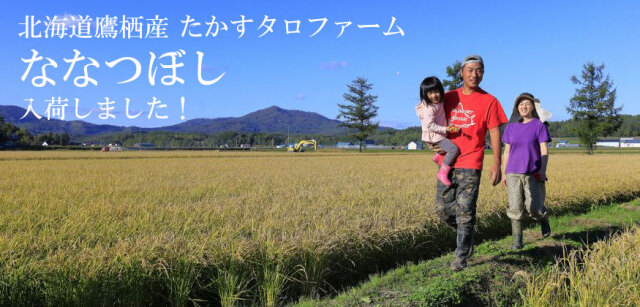 楽天市場】令和6年産 北海道産 ゆめぴりか 5キロ お米 北海道米