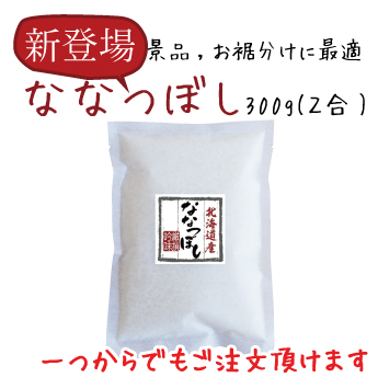 令和6年産【新米】 ミニミニ北海道産ななつぼし300g(2合)
