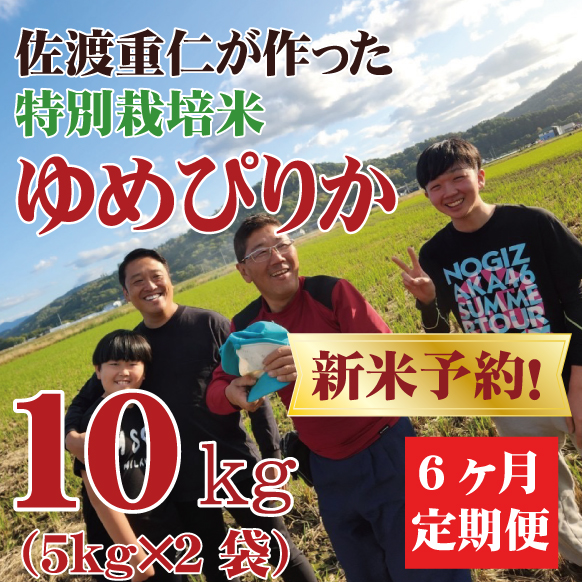 【新米予約】【令和6年産】定期購入 佐渡さんのゆめぴりか 10kg 6か月 北海道芦別市産