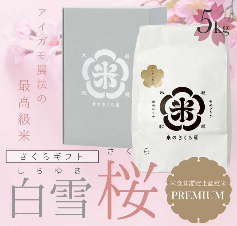 さくらギフト　「白雪桜」