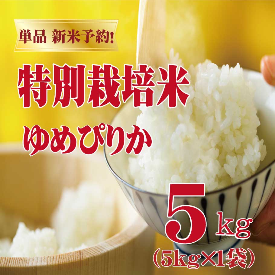 ◎3月も限定割引◎単品【令和7年産】特別栽培米（減農薬） ゆめぴりか 5kg