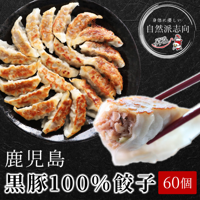 大感謝祭 SALE 700円OFF 送料無料 無添加 黒豚100%餃子 60個 20g×20個入×3パック 冷凍食品 ぎょうざ ギョーザ 鹿児島 かごしま 黒豚