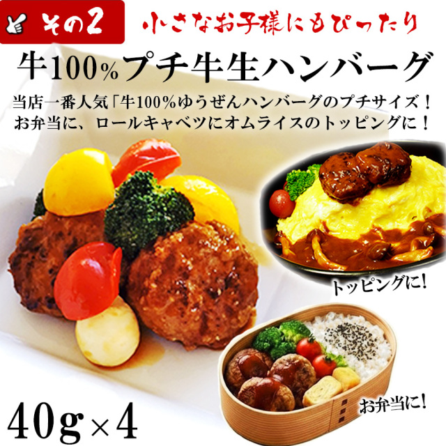 無添加 毎月1日限定 5種ハンバーグ福袋 大阪の味ゆうぜん