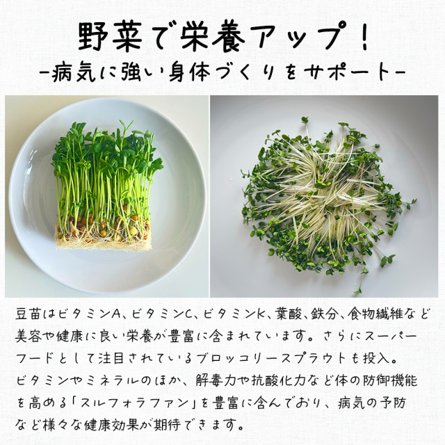 豆苗ハンバーグ