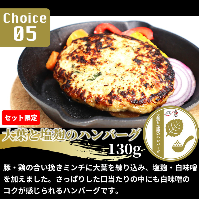 5種ハンバーグ