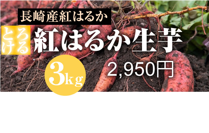 【紅はるか】島原産 生芋 3kg　しっとりあまーい！さつま芋