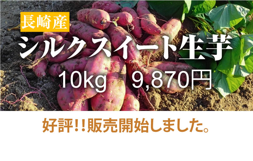 【シルクスイート】島原産 生芋 10kg　クリームの様なさつま芋