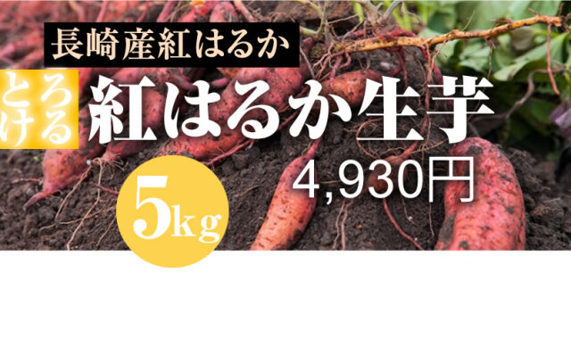 【紅はるか】島原産 生芋 5kg　しっとりあまーい！さつま芋